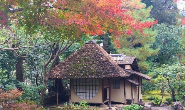 高台寺　紅葉 (1).jpg