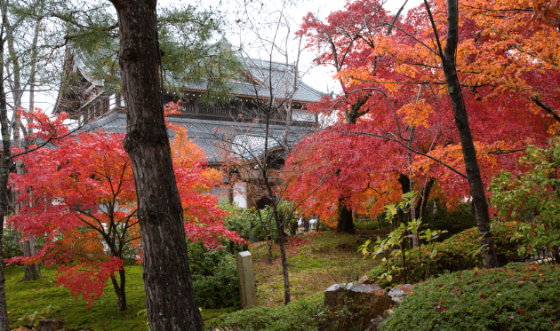 将軍塚青龍殿と紅葉