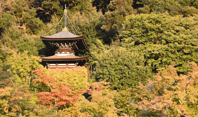 永観堂多宝塔