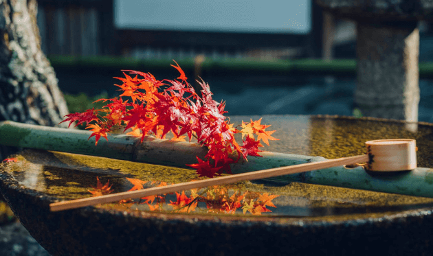 圓光寺の水琴窟（紅葉）