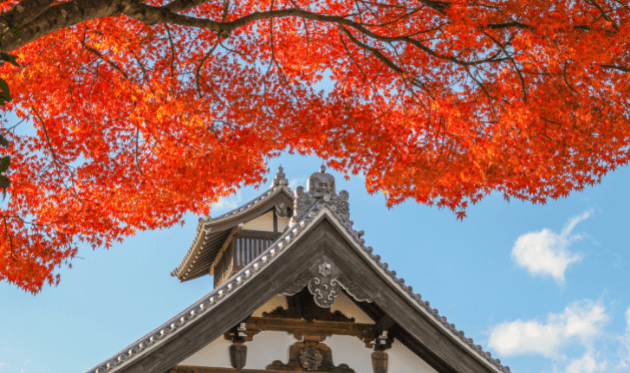 天龍寺の紅葉と青空