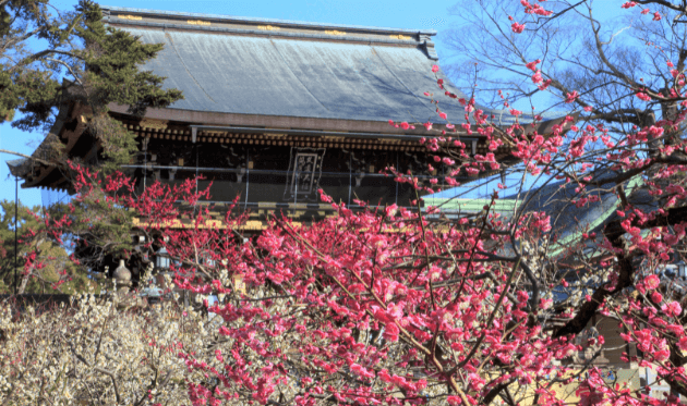 北野天満宮の梅苑と桜門