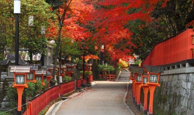 八坂神社　北参道 (1).jpg