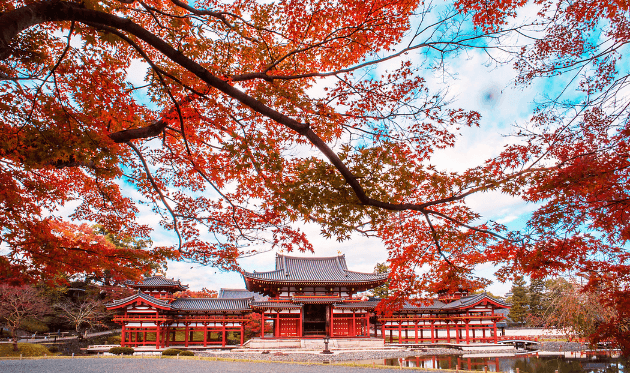 平等院の紅葉