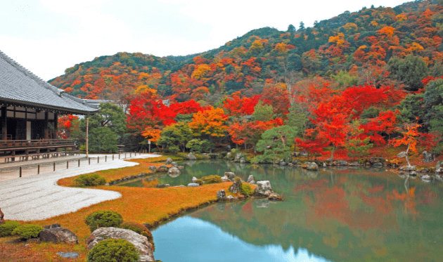 天龍寺の紅葉