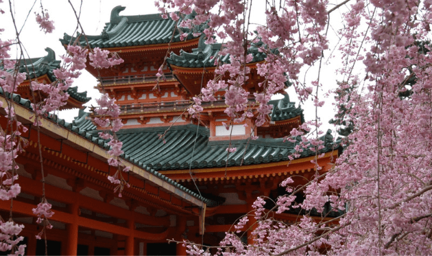 平安神宮の蒼龍楼と桜