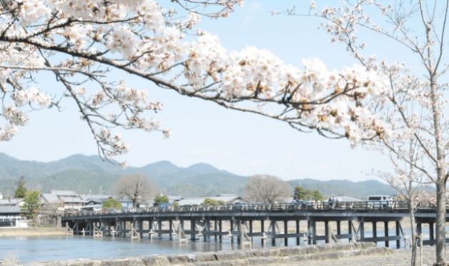 マイクロツーリズム 桜と渡月橋 (1).png