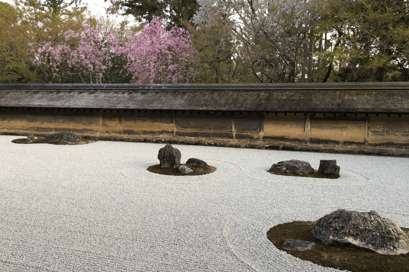 龍安寺の石庭（春）