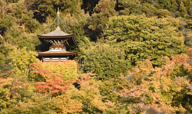 永観堂 多宝塔と夕方.png