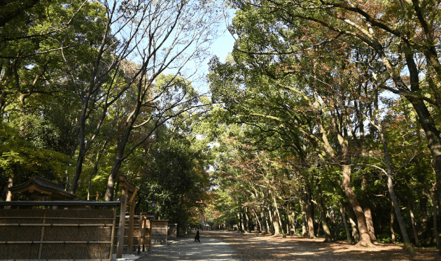 下鴨神社の糺の森