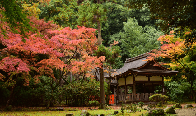 渉渓園の紅葉.png