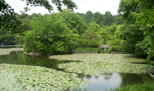 龍安寺 鏡容池 (1).png