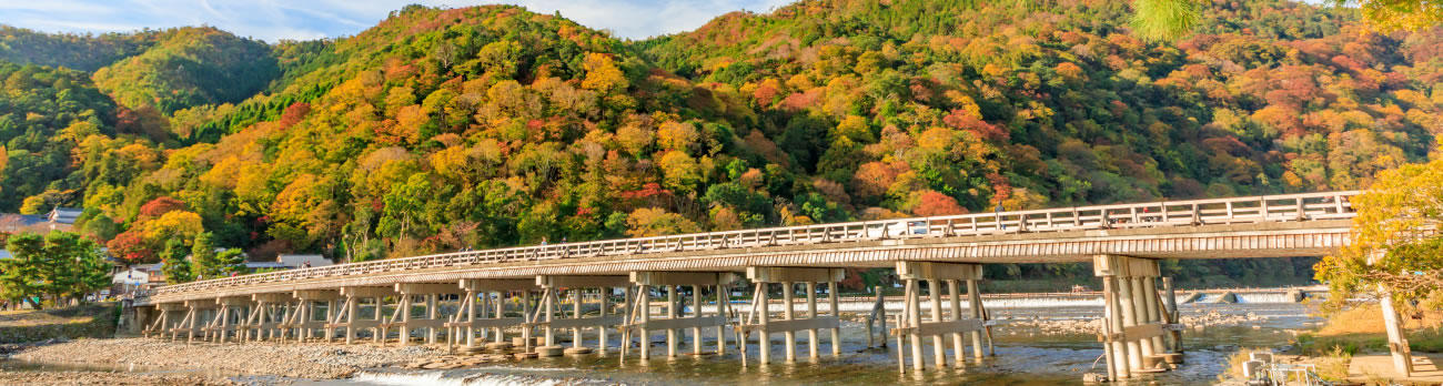 嵯峨 / 嵐山 / 高雄 イメージ