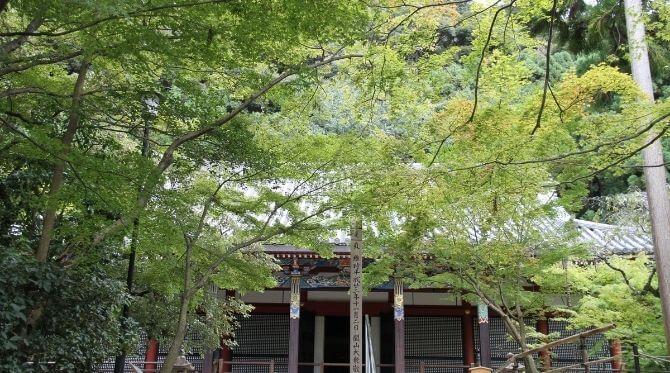 永観堂 禅林寺 のみどころ 約3 000本のカエデを誇る紅葉の名所 The Thousand Kyoto ザ サウザンドキョウト 宿泊 観光に最適な京都駅徒歩2分のラグジュアリーホテル 公式