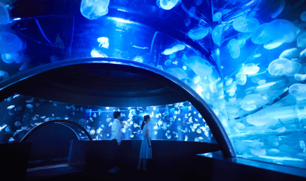 京都水族館のクラゲワンダー