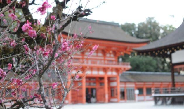 下鴨神社 の観光 見どころ 縁結び 美容のパワースポット The Thousand Kyoto ザ サウザンドキョウト 宿泊 観光に最適な京都駅徒歩2分のラグジュアリーホテル 公式
