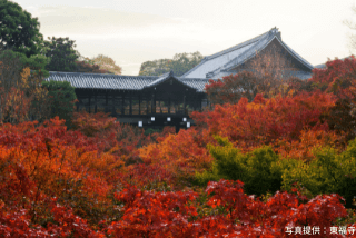 「東福寺」の観光・見どころ｜谷を覆う「もみじ」の海イメージ>