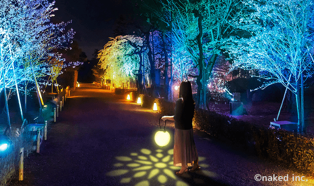 二条城×ネイキッド夏祭り2021のライトアップ提灯