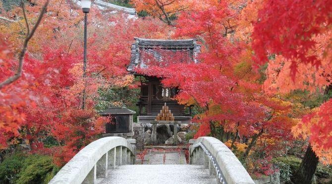 永観堂 禅林寺 のみどころ 約3 000本のカエデを誇る紅葉の名所 The Thousand Kyoto ザ サウザンドキョウト 宿泊 観光に最適な京都駅徒歩2分のラグジュアリーホテル 公式