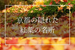 【京都】穴場の紅葉名所｜趣深い秋の絶景イメージ>