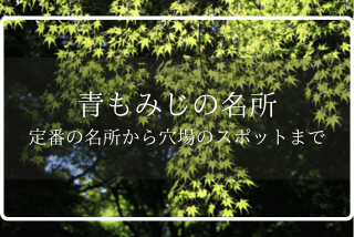 【京都】青もみじの名所｜定番の名所から穴場のスポットまでイメージ>