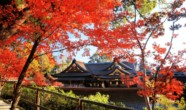 北野天満宮の紅葉