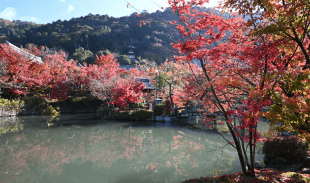 永観堂の放生池と紅葉