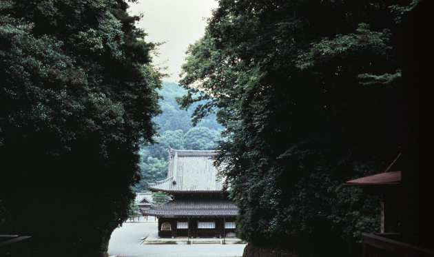 泉涌寺 降り参道.png