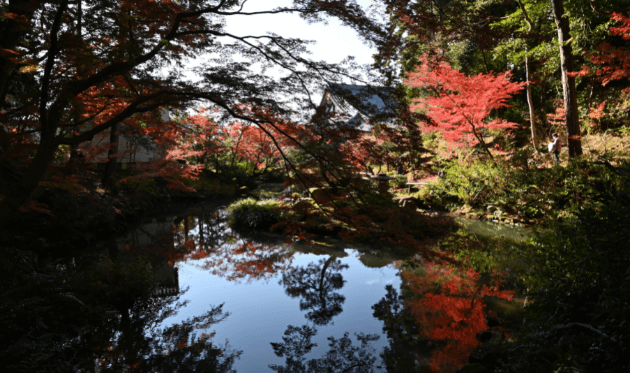 金戒光明寺の紫雲の庭