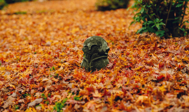 圓光寺の微笑み地蔵と紅葉