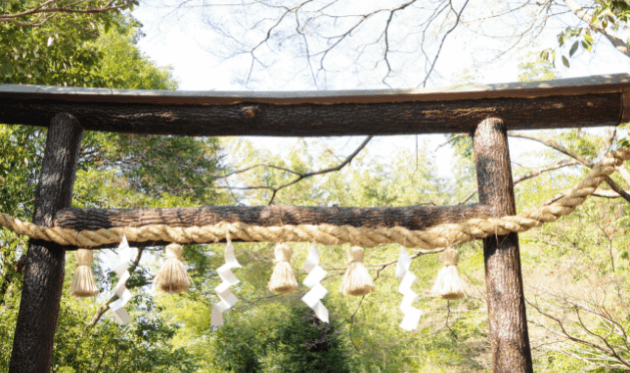 野宮神社の黒木鳥居