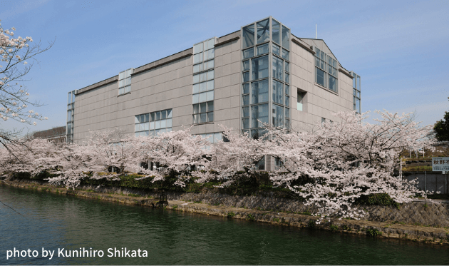 京都国立近代美術館の外観と桜