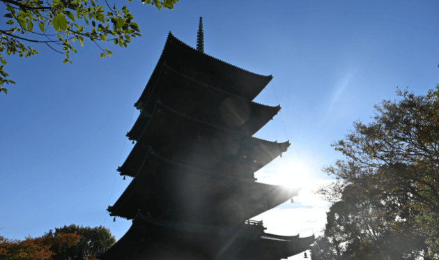 東寺の五重塔