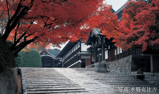 金戒光明寺の女坂の紅葉