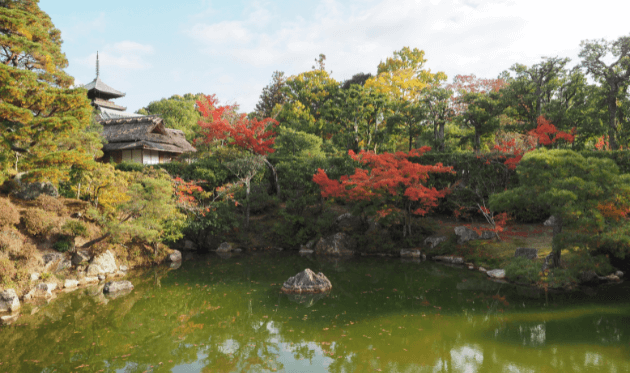 仁和寺の北庭